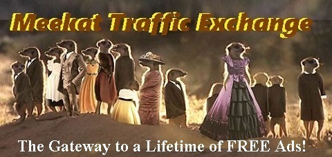 Meerkat Traffic Exchange